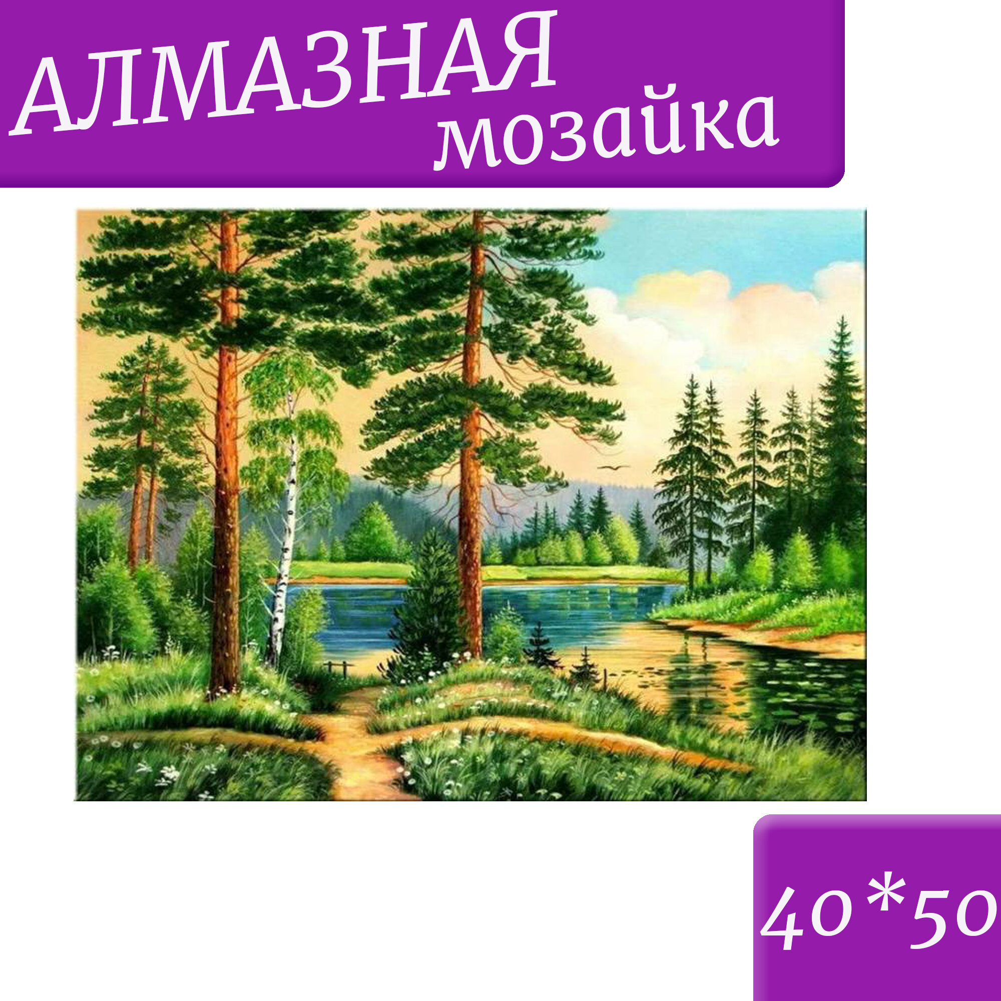 Алмазная мозаика 40*50 "Лес" картины из страз