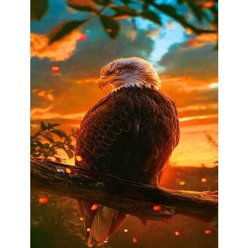 Алмазная мозаика. Картина стразами на подрамнике (размер 40х50 см, полная выкладка, круглые стразы) Орел