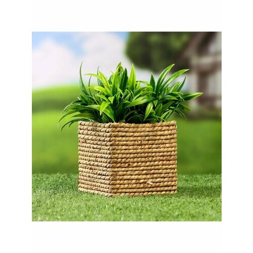 Кашпо Эйра коричневое 10х10х9см 720₽