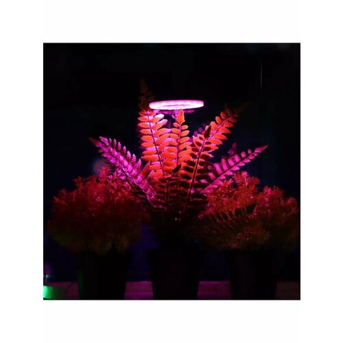 Фитосветильник светодиодный 2 Вт 1 круг 4 Вт 2 круга 1059₽