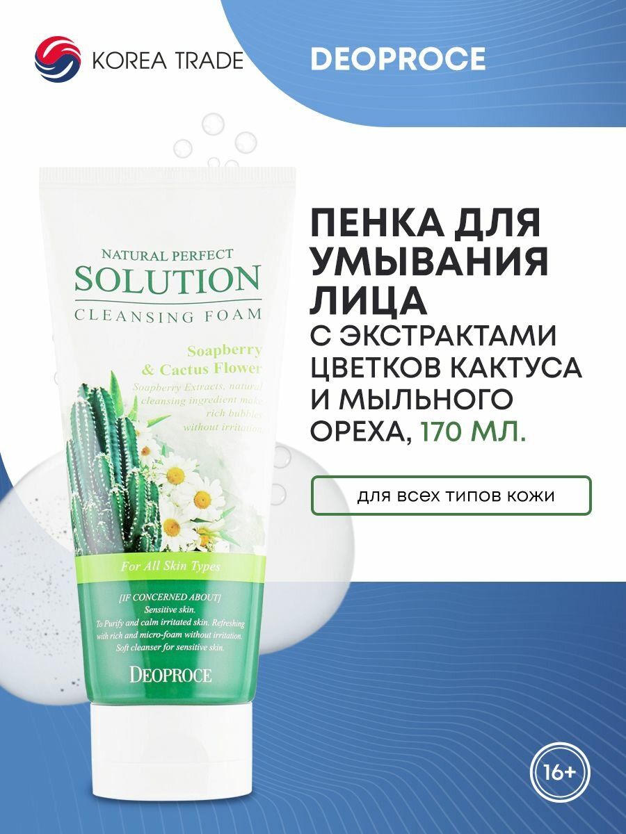 DEOPROCE NATURAL PERFECT SOLUTION CLEANSING FOAM SOAP BERRY & CACTUS FLOWER Пенка для умывания с экстрактом цветков кактусаи мыльным орехом 170г