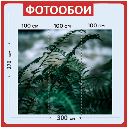 Фотообои Папоротник природа зеленый 300x270 см флизелиновыена стену 3960₽