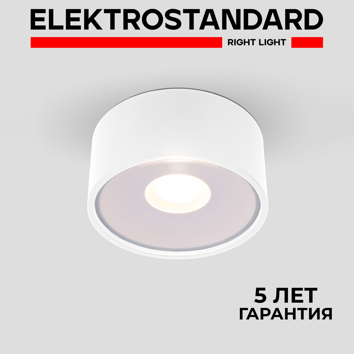 Уличный / Садово-парковый потолочный светодиодный светильник Elektrostandard Light LED 35141/H, 12 Вт/4000K, белый, IP65