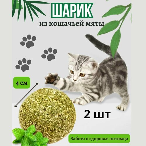 Шарик из кошачьей мяты, мячик для кошки, 40 см, 2 шт