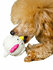 Игрушка для собак Japan Premium Pet латексный колобок в виде цыплёнка для собак ...