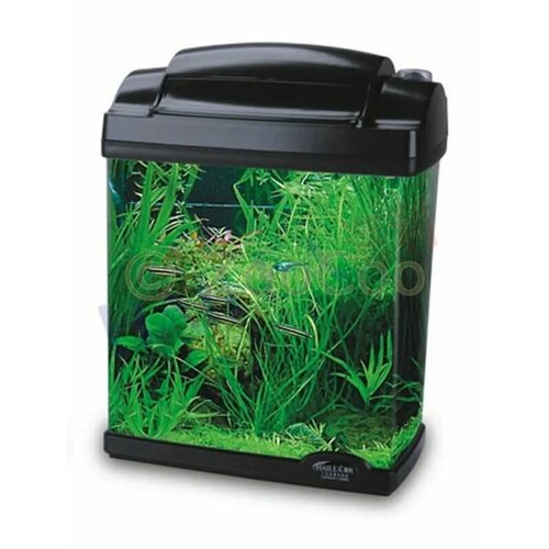 Аквариум для рыбок с закругленными углами, фильтром и освещением, 4,8 л, Черный
