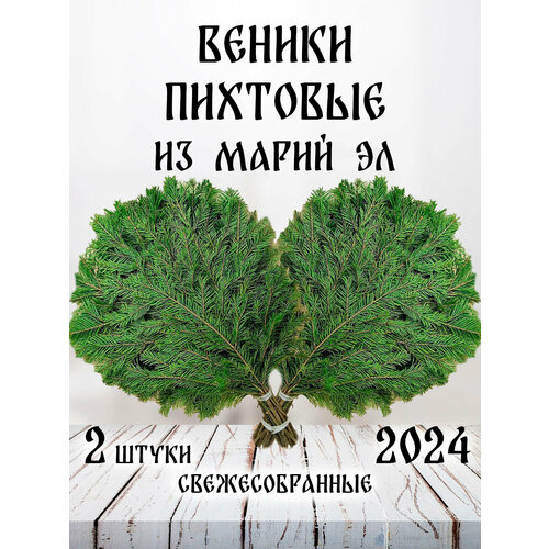 Пихтовые веники для бани из Марий Эл в коробке 2 штуки 1390₽