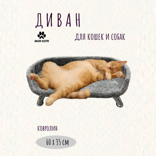 Лежанка для кошек Моя Котя, овальная, на ножках, ковролин, 60x35х10см