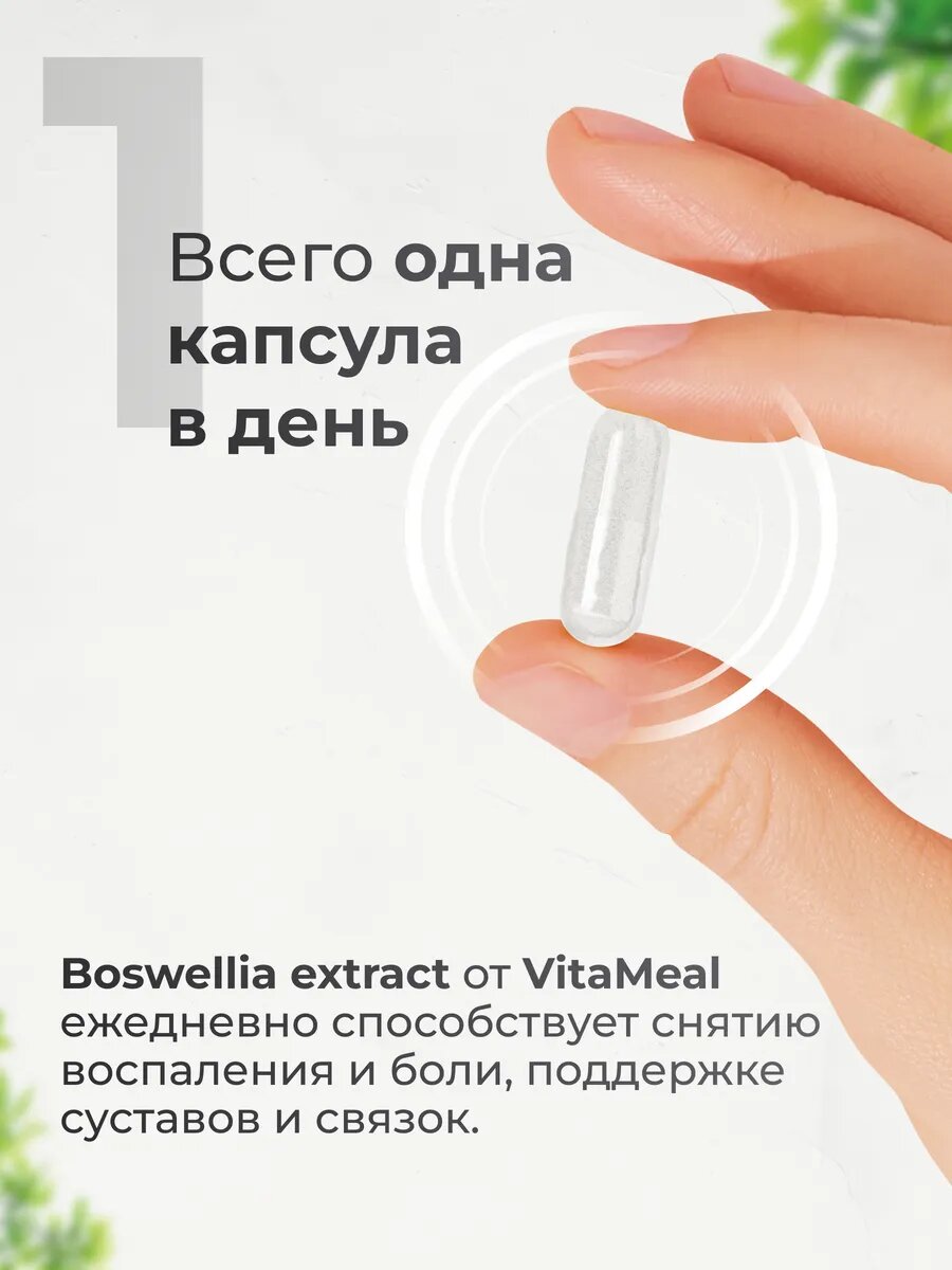 Босвеллия экстракт 500 мг для хрящей и суставов, Boswellia extract, 180 капсул — фото 1