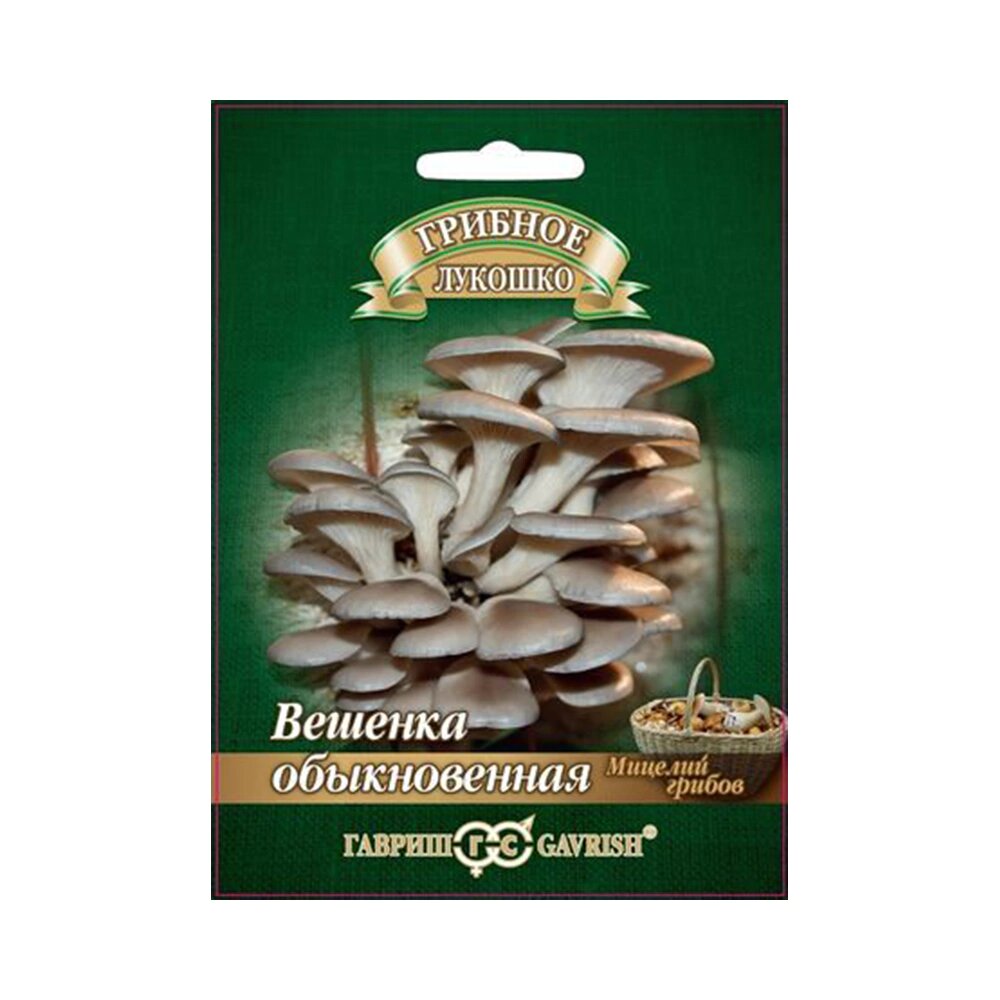 Вешенка Обыкновенная на древесной палочке 12 шт Гавриш