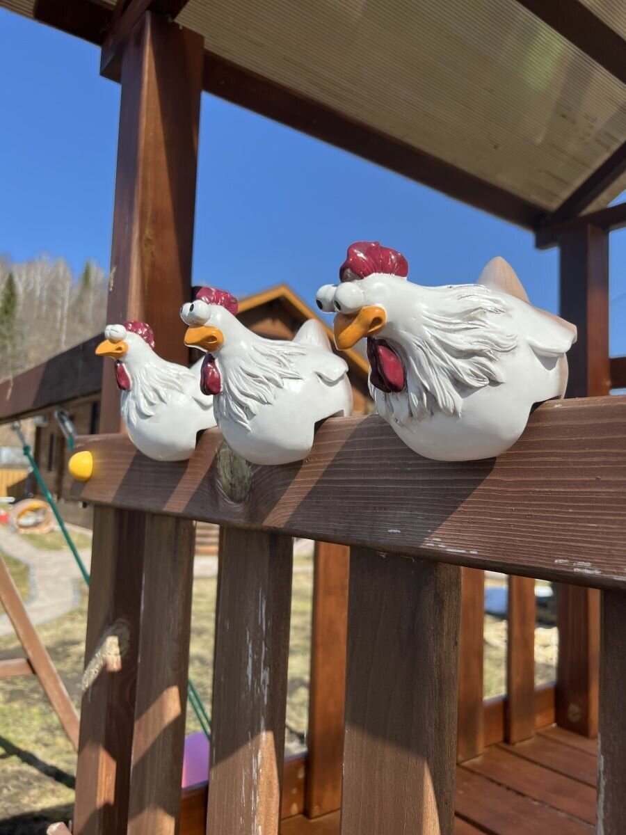 Курица на забор - фотография № 18