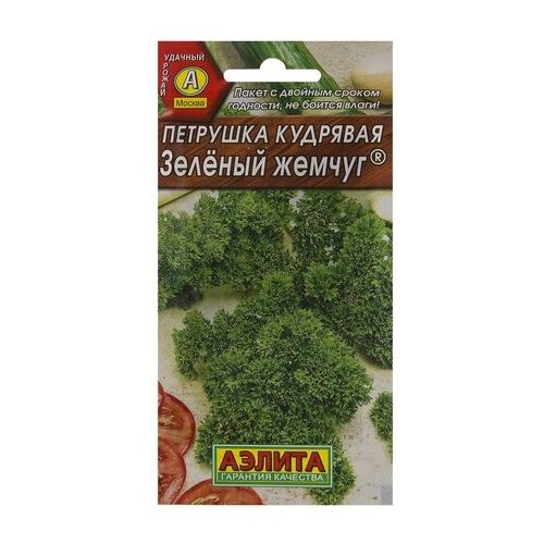 семена петрушка кудрявая зелёный жемчуг Семена Петрушка кудрявая «Зелёный жемчуг» спайка 10 пачек