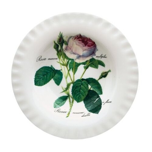 фото Тарелка суповая 24 см роза редаут roy kirkham