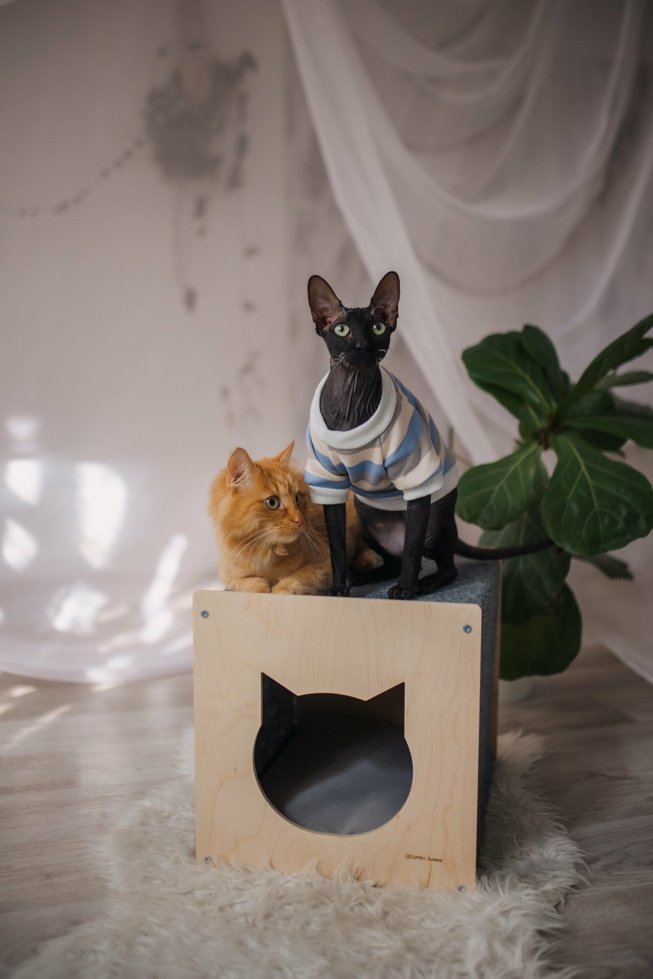 Домик для кошек с когтеточкой