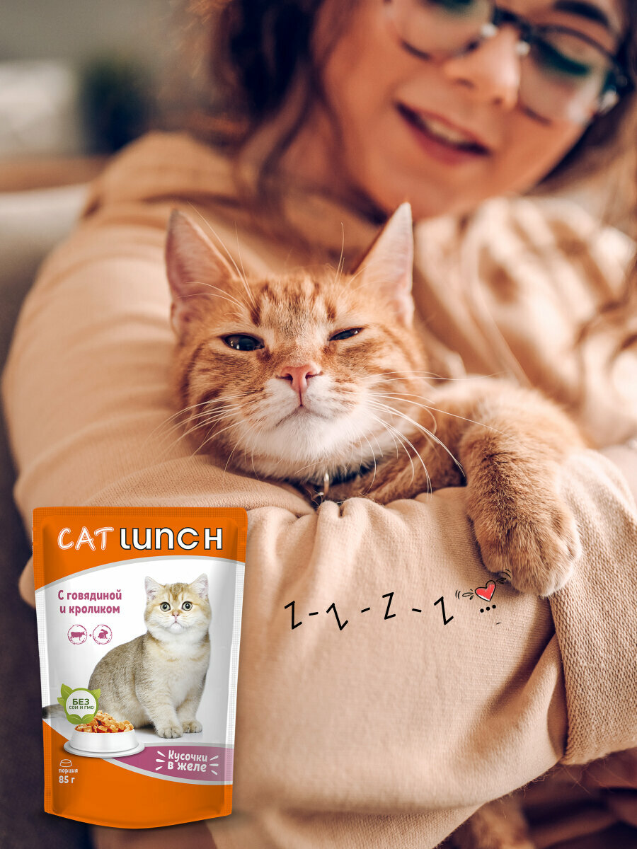 Влажный корм для кошек Cat Lunch кусочки в желе Говядина и Кролик, пауч 85гх24шт - фотография № 15