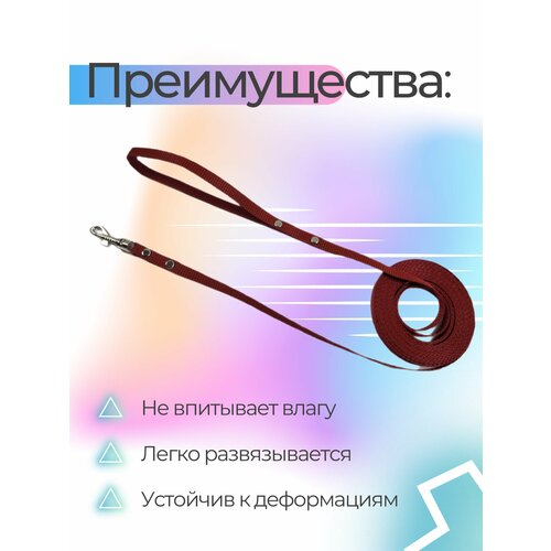 Поводок Хвостатыч для собак нейлоновый классический 5 м х 10 мм (коралловый)