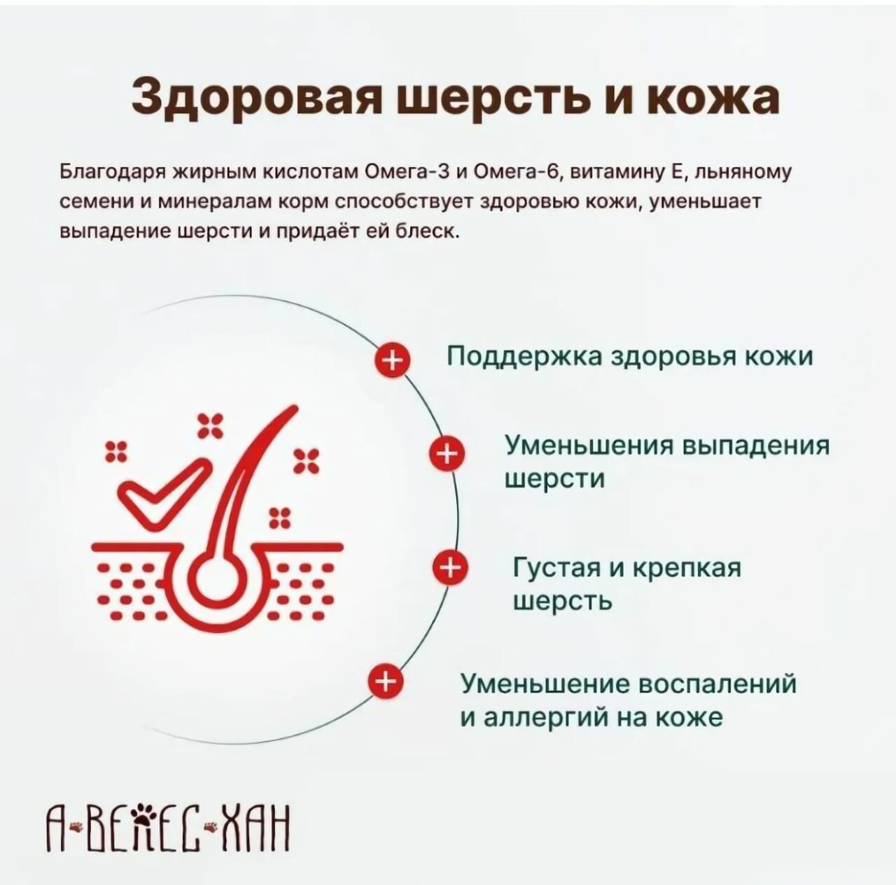 Корм для собак "супер премиум класса", говядина/ягненок, для средних пород, 15 кг — фото 1