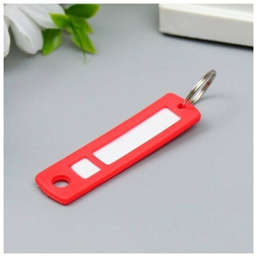 фото Идентификатор для ключей на кольце пластик, 6,3х1,7х0,3 см, 40 шт. sweet home