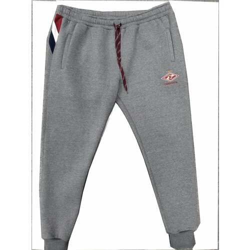 Брюки DEKON`S зимние, повседневные, свободный силуэт, утепленные, размер 5XL(66), серый