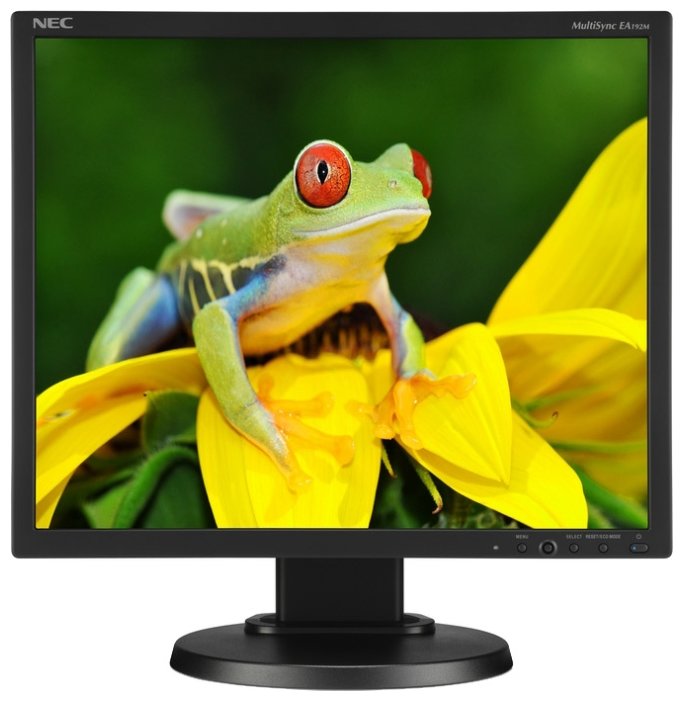 19" Монитор NEC MultiSync EA192M, 1280x1024, 75 Гц, TN, черный