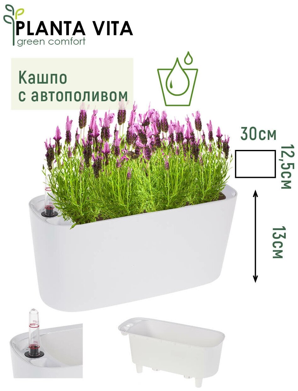 Кашпо PLANTA VITA 