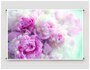 Постер плакат для интерьера "Цветы Пионы. Нежность" / Декор гостинной, спальни. A3 (297 x 420 мм)