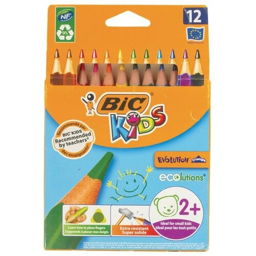 BIC Карандаши 12 цветов, детские, утолщенные, трёхгранные, BIC Kids Evolution Triangle, пластиковые, премиум, картонная упаковка карандаши цветные bic kids evolution triangle 12 цветов