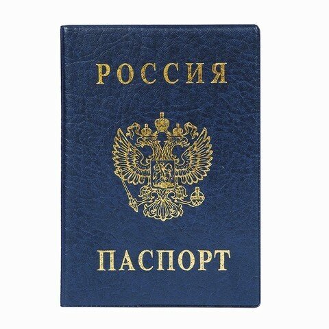 Обложка для паспорта DPSkanc