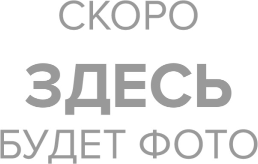 Лом-гвоздодёр Вихрь 600 мм