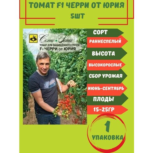 помидоры черри сливовидные моё лето в шейкере 250 г Томат Черри от Юрия F1, 5 семян 1 упаковка