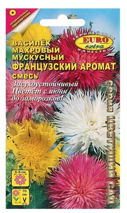 Семена цветов Василек 