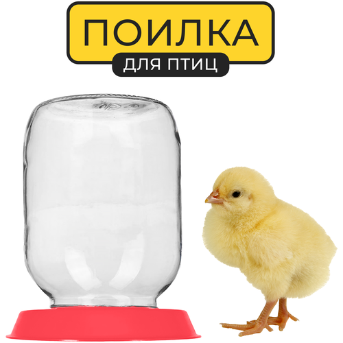 поилка под банку для цыплят с сеточкой 2 шт Поилка для птиц Yoma Home, вакуумная, под стеклянную банку, для животных, для цыплят, пластиковая, красная