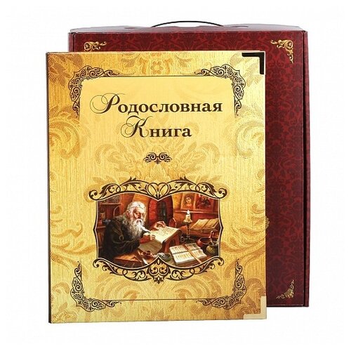 Родословная книга Летописец в картонной коробке