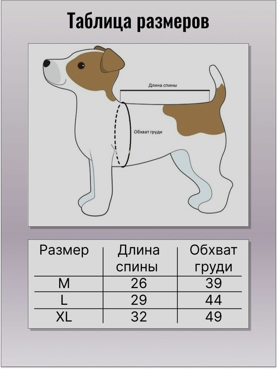Толстовка худи кофта для собак. Одежда для животных - фотография № 4