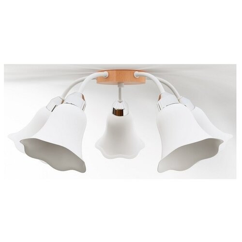 фото Люстра потолочная дубравия