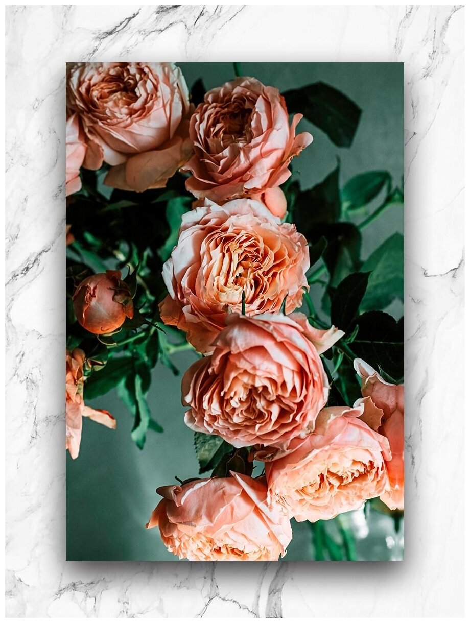 Картины для интерьера на холсте 40х60 см/ Розы / Цветы