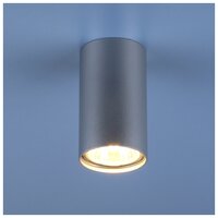 Накладной потолочный светильник Elektrostandard 1081 (5257) GU10 SL серебряный
