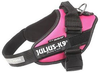 JULIUS-K9 шлейка для собак IDC-Powerharness 2 (71-96см/ 28-40кг), темно-розовый . - фотография № 4