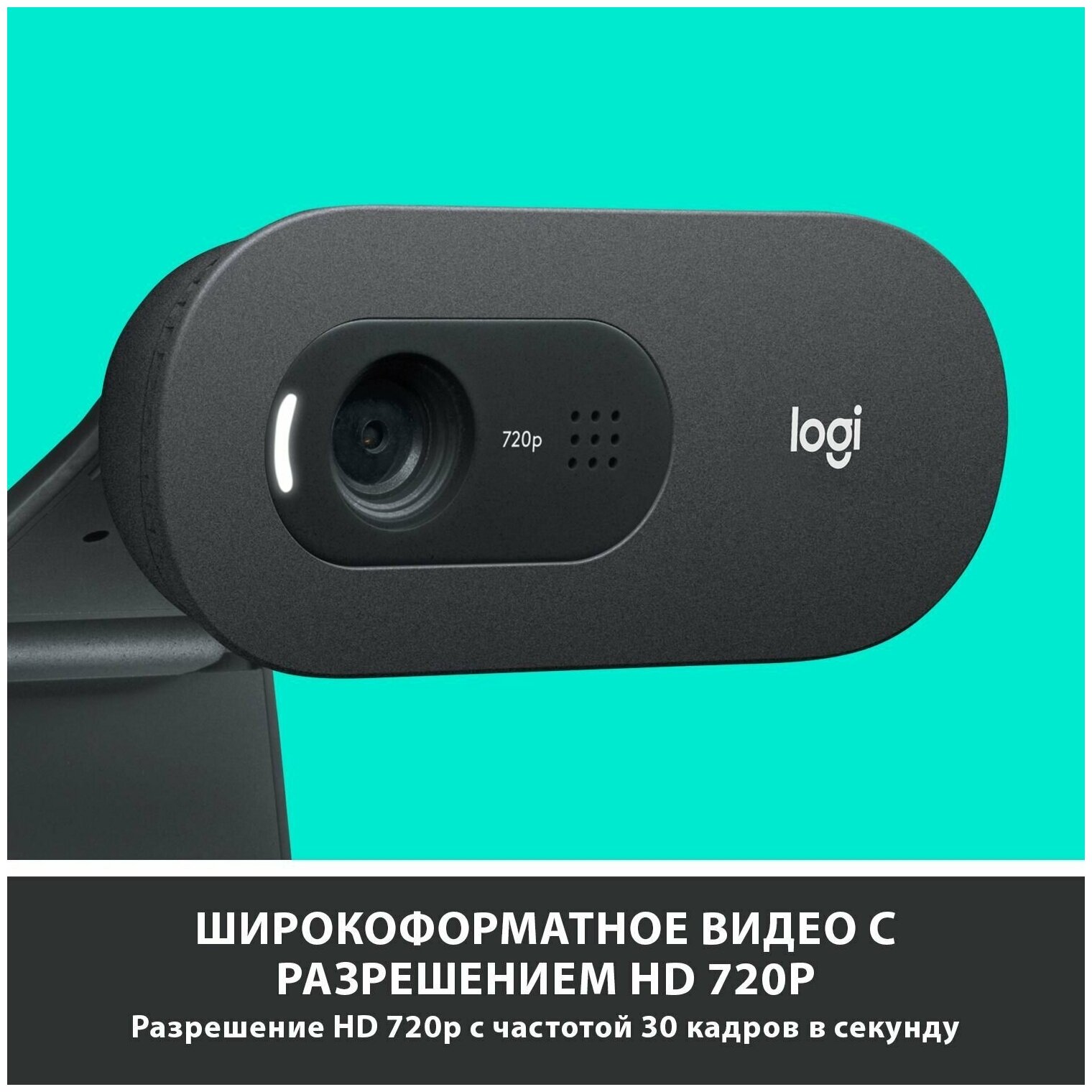 Web-камера Logitech C505e HD