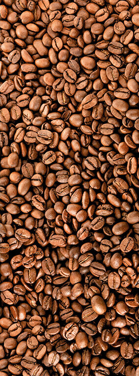 фото Фотообои Divino Decor "Зерна кофе" С-397(Б-397) 100*270 фактура холст