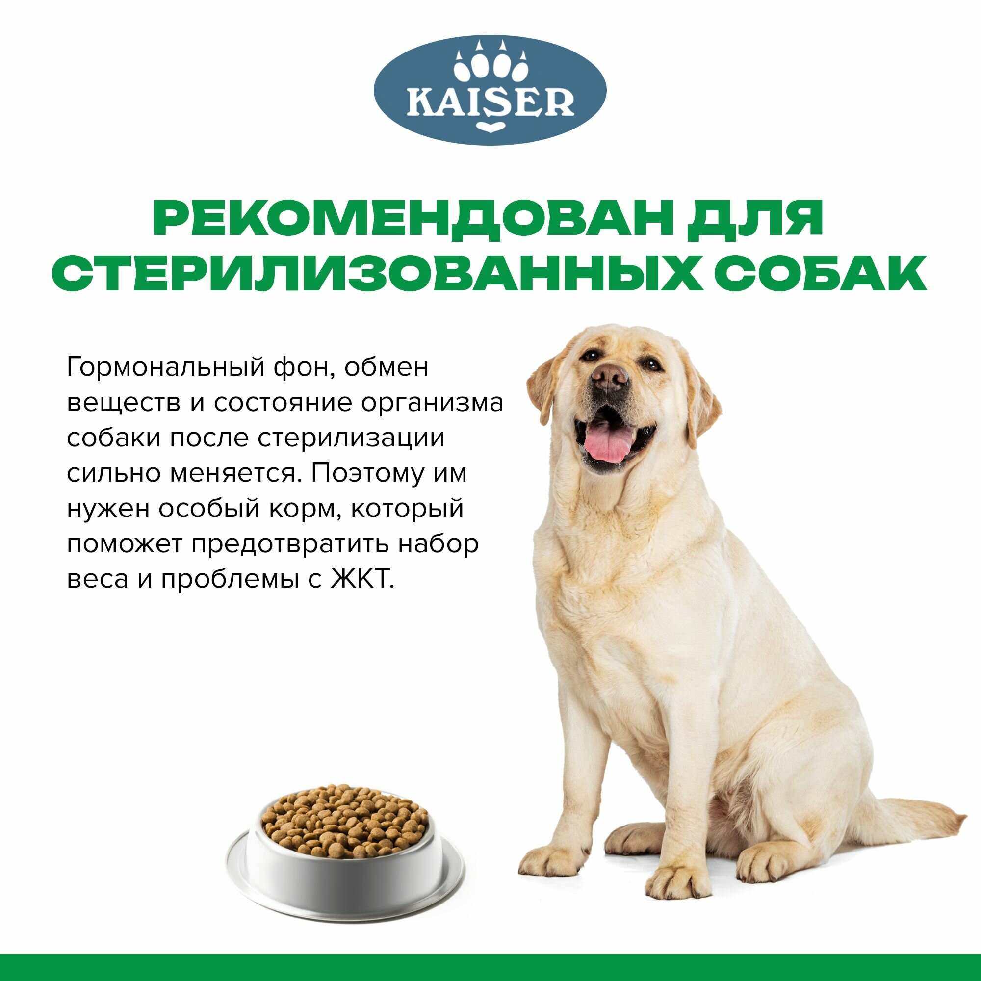 KAISER BRIDER Сухой корм для собак средних и крупных пород "Ягненок и тыква", 5 кг — фото 1