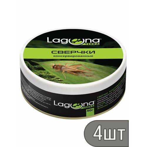 Laguna Набор 4 шт Сверчки консервированные 40г 1784₽
