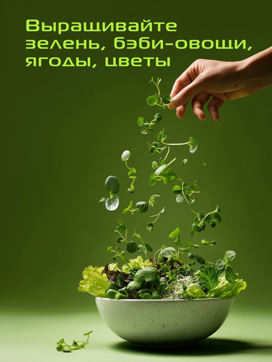 Почвогубки для умного сада RED SOLUTION 6шт. прессованное кокосовое волокно — фото 1