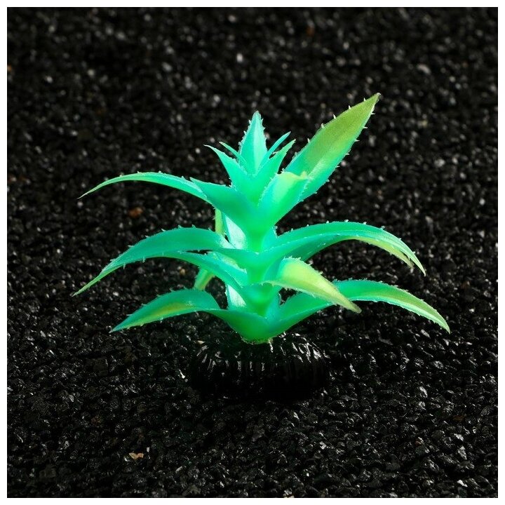 Пижон Аква Растение искусственное аквариумное, светящееся, 10 см, зелёное - фотография № 3