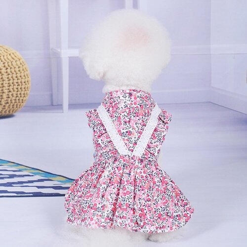 Платье для собак 