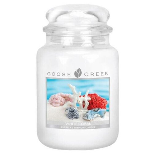 Ароматическая свеча GOOSE CREEK White Coral 150ч ES26352-vol