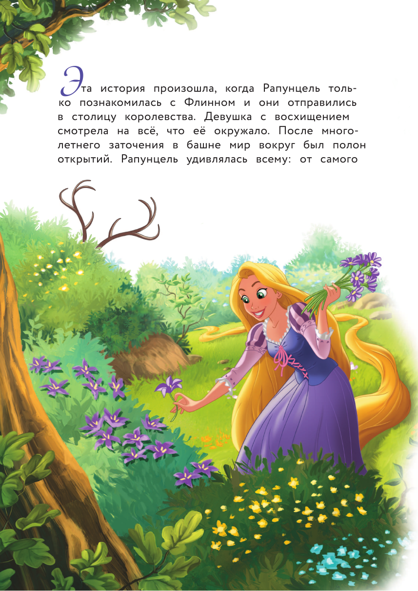 Рапунцель и игра в прятки (Чернышова-Орлова Екатерина О. (переводчик), Бутковская Мария (переводчик)) - фото №11
