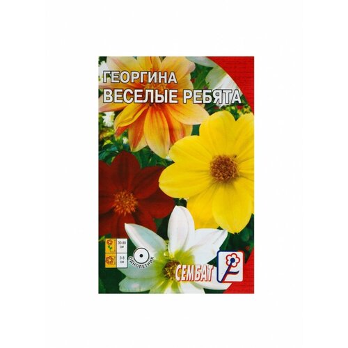 семена цветов георгина веселые ребята о 0 2 г Семена цветов Георгина Веселые ребята, О, 0,1 г