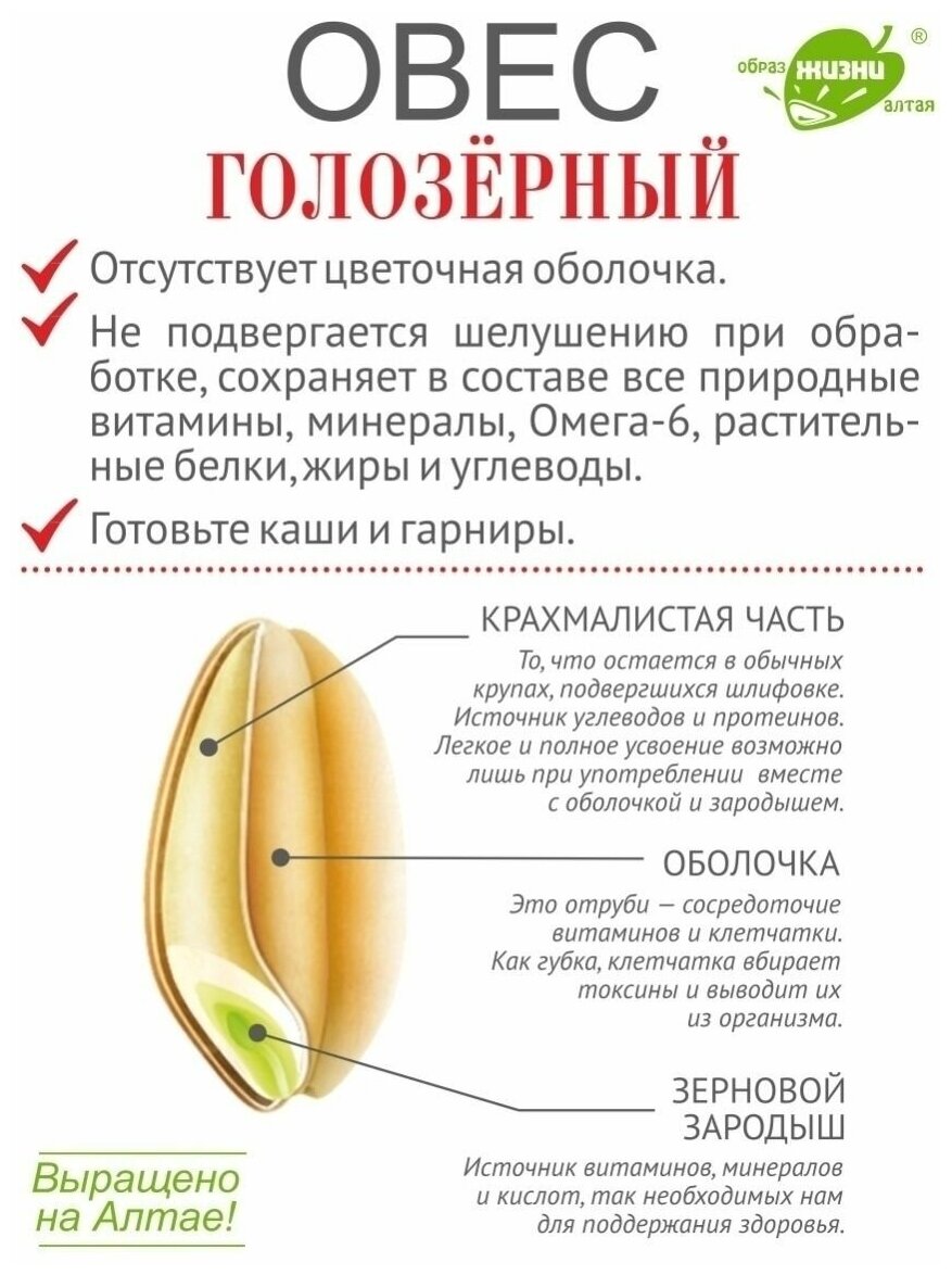 Овес голозерный для овсяной каши и проращивания, 5 кг - фотография № 3