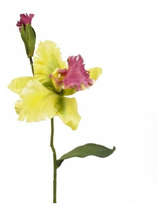 Искусственные цветы орхидея катлея зелёная 37 см для декора